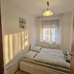 Downtown Astoria Deluxe Loft Apartment